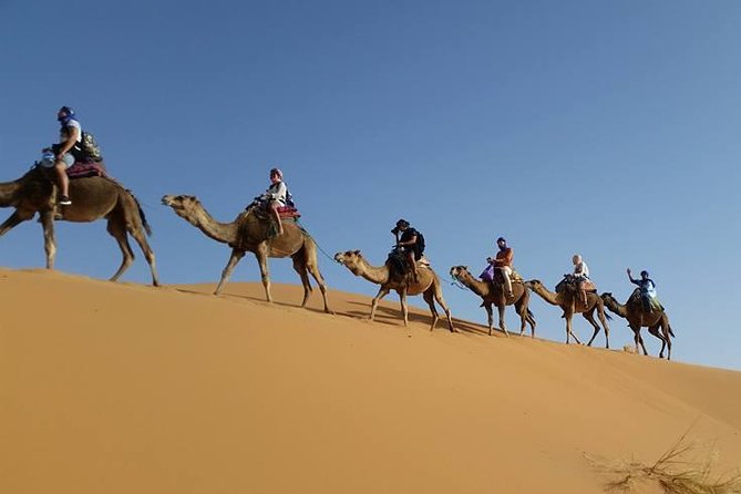 From Marrakech 3 Days Tour To Merzouga Sahara Desert - Marrakech to Merzouga: the vibe you’re signing up for