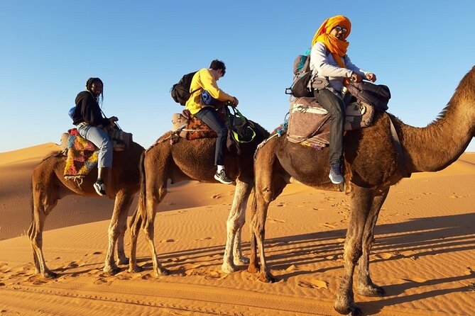 From Marrakech 3 Days Tour To Merzouga Sahara Desert - Day 3: Valley of Roses to finish your route without rush