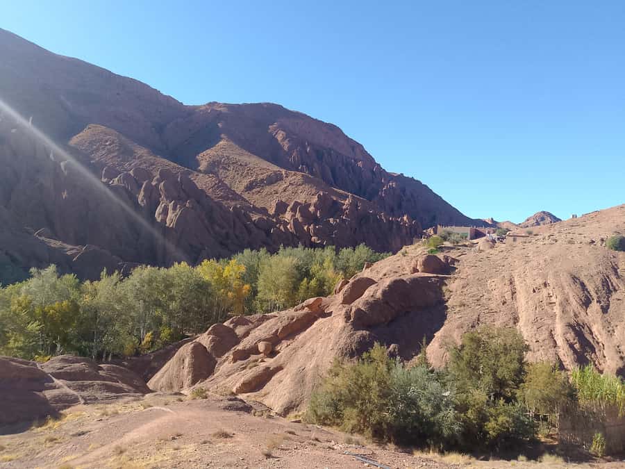 From Marrakech: 4-Day Morocco Sahara Desert Experience - Should you book this Marrakech to Merzouga desert tour?