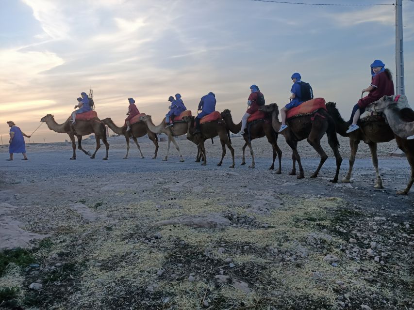 From Marrakech: 4-Day Morocco Sahara Desert Experience - Price and value: what $182 covers, and what to plan for