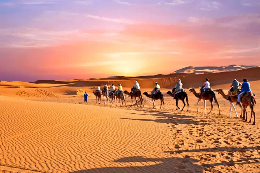 From Marrakech: 5-Days Tour to Chefchaouen & Merzouga Desert - Camel sunset at Erg Chebbi: the part that feels like a movie