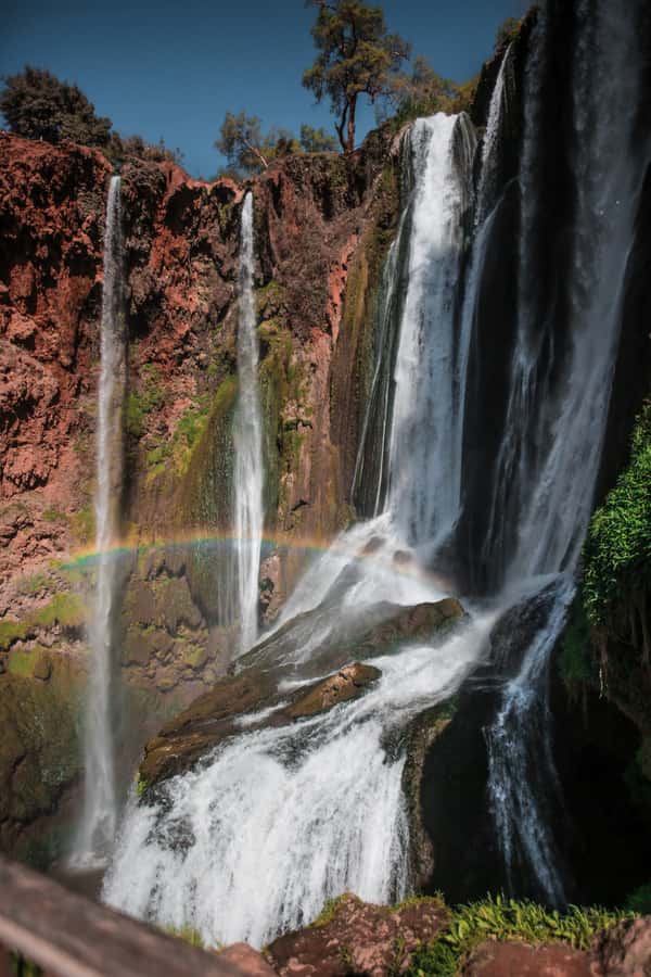 From Marrakech: A day Trip to Ouzoud waterfalls - Key moments that make this tour worth it