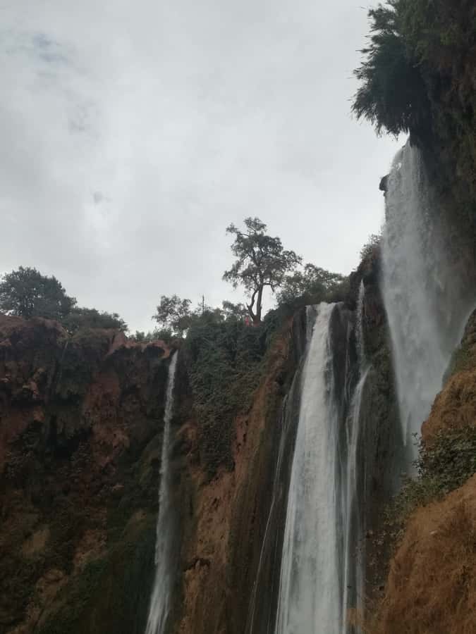 From Marrakech: A day Trip to Ouzoud waterfalls - Lunch on your own: freedom, but you need a plan