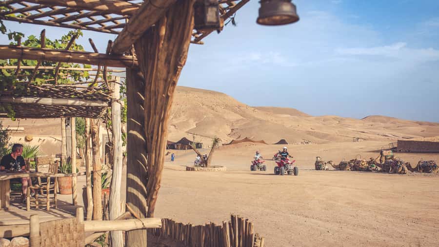 From Marrakech: Agafay Desert Camel Ride and Dinner and Show - The Camel Ride: Short Safari Energy Without the Hassle