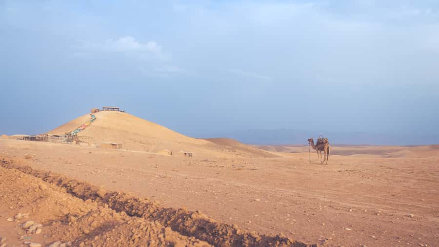 From Marrakech: Agafay Desert Camel Ride and Dinner and Show - The Sunset Moment: Why Agafay Works Even If It’s Not All Sand