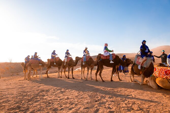 From Marrakech: Agafay Desert Camel Ride experience Dinner show - How the Marrakech to Agafay Night Program Actually Runs (and Why It Feels Efficient)
