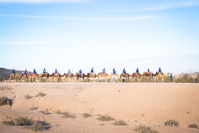 From Marrakech: Agafay Desert Camel Ride experience Dinner show - Who Should Book This Agafay Camel Ride and Dinner Show?