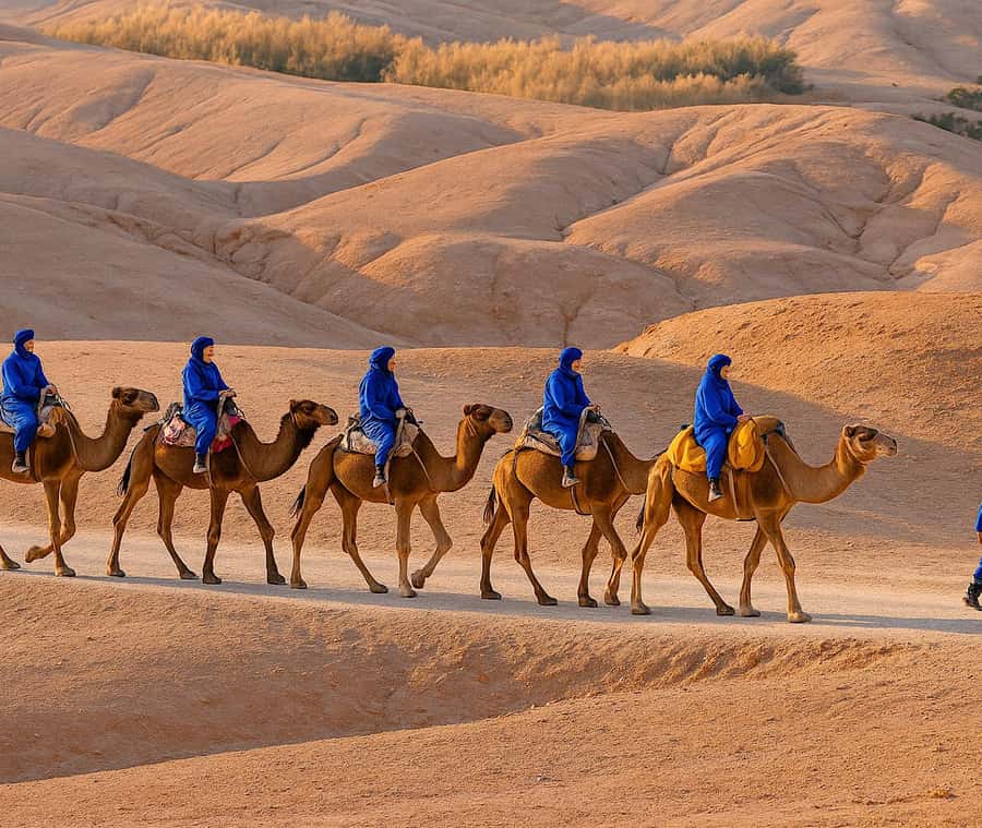 From Marrakech: Agafay Desert Dinner and Optional Camel Ride - Pickup In Marrakech and The Lake Takerkoust Tea Stop