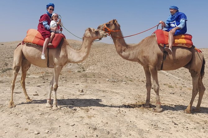 From Marrakech: Agafay Desert Dinner with Camel Ride - From Marrakech pickup to the camp: timing and the drive you actually feel