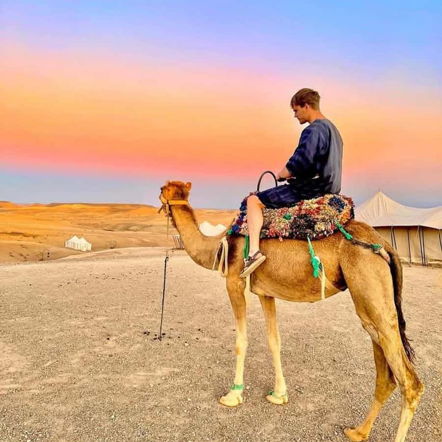 From Marrakech: Agafay Desert Dinner with Quad & Camel Ride - Quick hits: what makes this evening in Agafay work