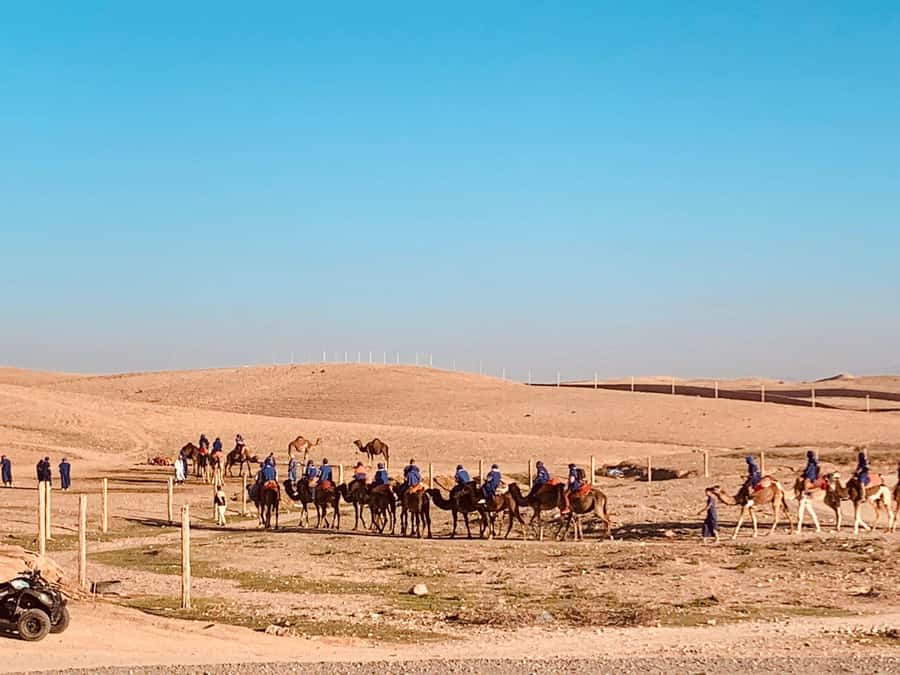 From Marrakech: Agafay Desert Sunset, Camel Ride, and Dinner - Camel Ride in Agafay: what to expect on the ancient Berber path