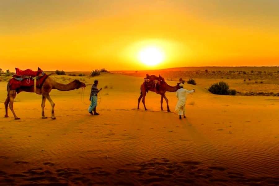 From Marrakech : Agafay Desert Sunset Dinner with Camel Ride - Should You Book This Agafay Sunset Dinner Tour?