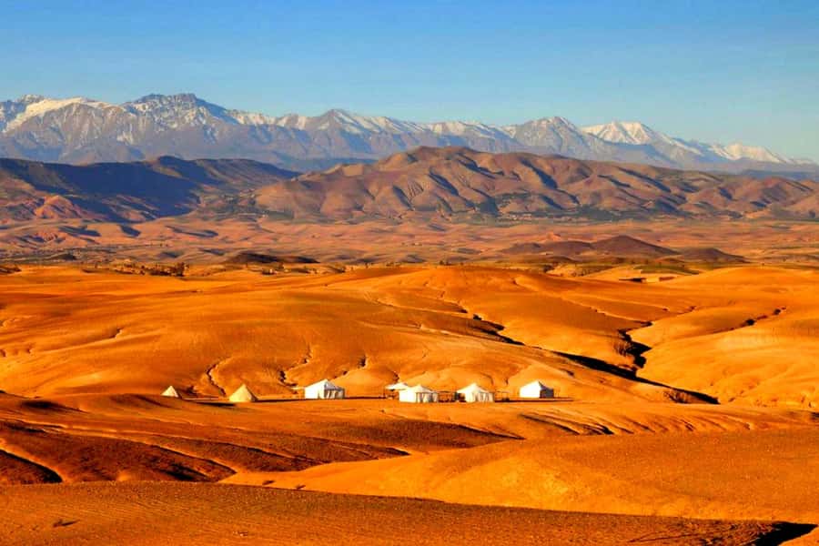 From Marrakech : Agafay Desert Sunset Dinner with Camel Ride - Price and Value: Is $34 Reasonable for This 4-Hour Desert Night?