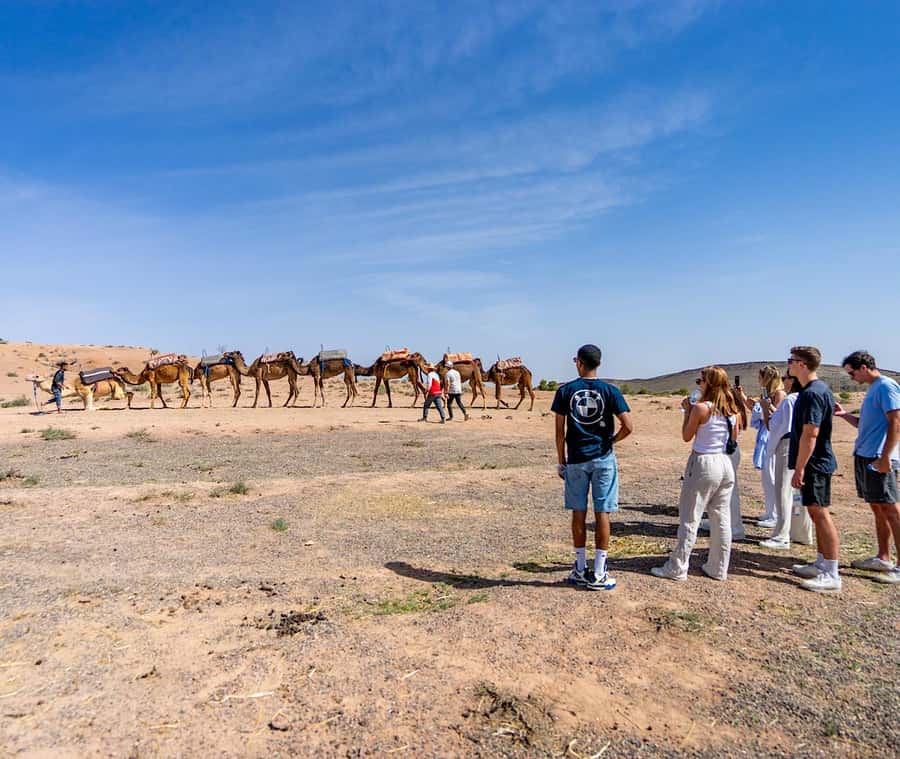 From Marrakech: Agafay Sunset Camel Tour with Dinner & Show - Practical Tips: What to Bring for Agafay’s Evening Weather