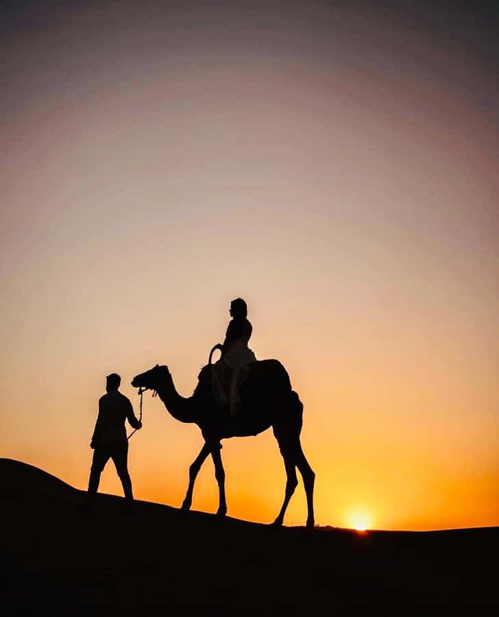 From Marrakech: Agafay Sunset Camel Tour with Dinner & Show - Who This Tour Suits Best (and Who Should Rethink It)