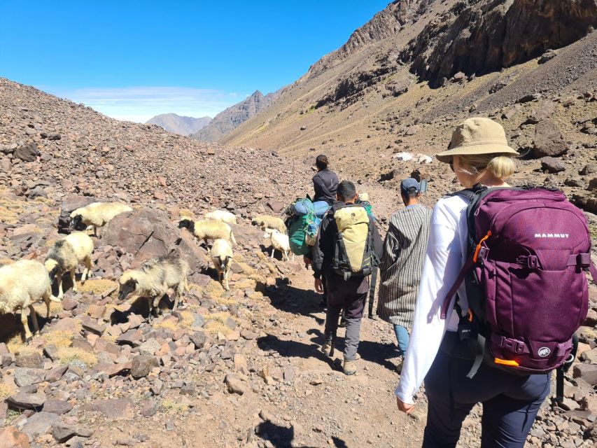 From Marrakech: Atlas Mountains 4-Day Hike with Hotels - Day 4: A Forest Walk Back Toward Imlil and the Lunch at Tizi Mezik (2500m)