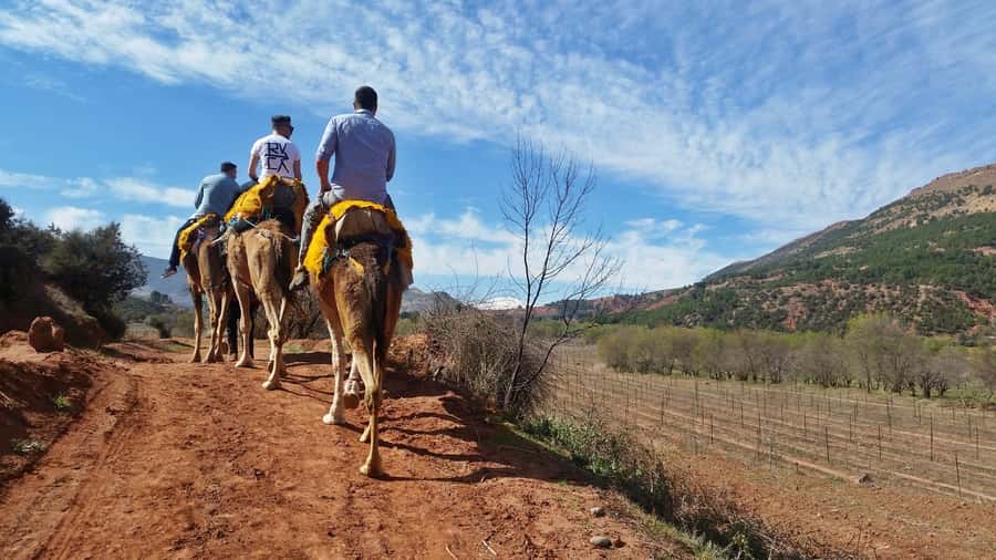 From Marrakech: Atlas Mountains 45-Minute Horseback Ride - From Marrakech to Tahnaout: the drive that sets the day’s tone