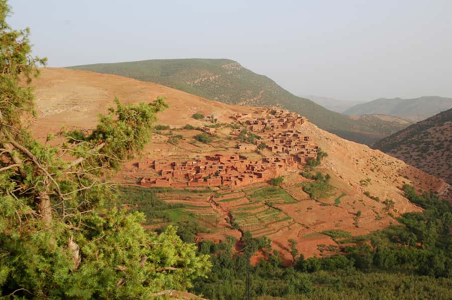 From Marrakech: Atlas Mountains 45-Minute Horseback Ride - Imlil lunch under Toubkal country: where the day slows down
