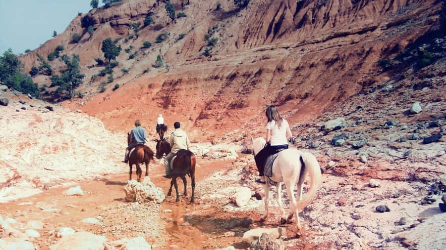 From Marrakech: Atlas Mountains 45-Minute Horseback Ride - Juniper forests and Asni Valley: what the horseback ride is really like