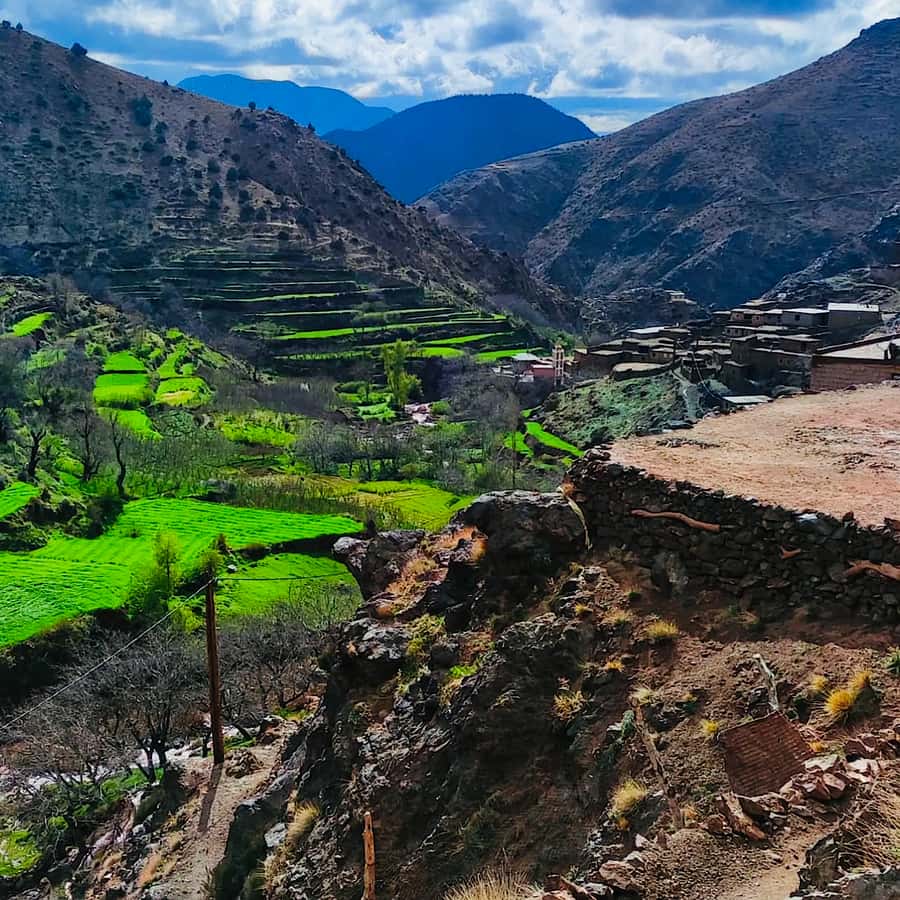 From Marrakech: Atlas Mountains and Berber Village Day Trip - Key highlights that make this day trip worth it