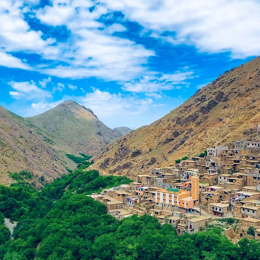 From Marrakech: Atlas Mountains and Berber Village Day Trip - Marrakech at 9:00 am: the drive into High Atlas valleys