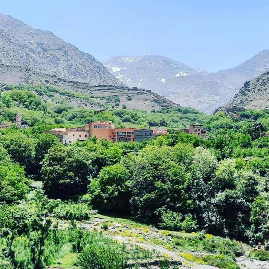 From Marrakech: Atlas Mountains and Berber Village Day Trip - Lunch in a Berber family setting: tagine, couscous, and mint tea with a view