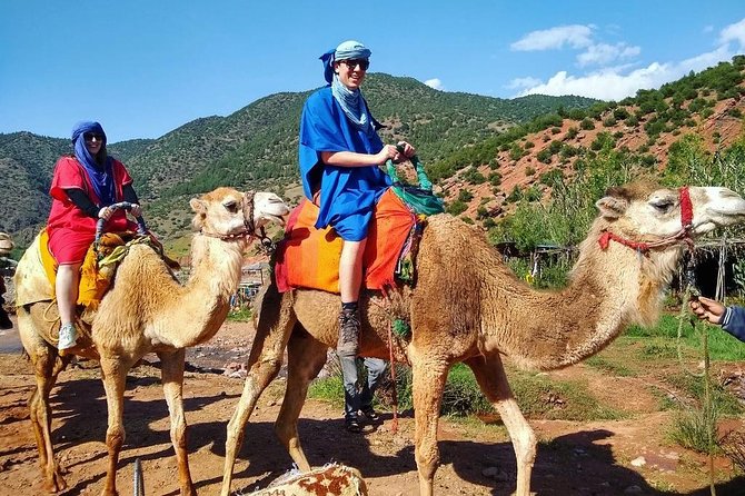 From Marrakech: Atlas Mountains and Berber Villages Day Trip - Should you book this Atlas Mountains and Berber villages day trip?