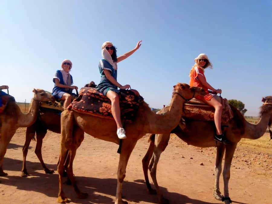 From Marrakech: Atlas Mountains and Three Valleys Day Trip - The Berber family lunch: tagine, couscous, and the roof-view feeling