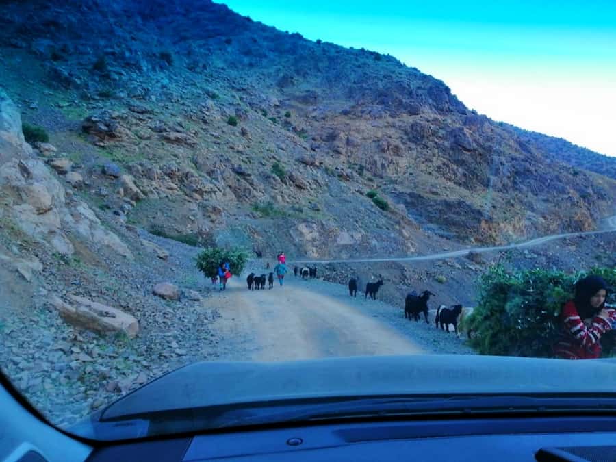 From Marrakech: Atlas Mountains and Three Valleys Day Trip - Price and value: what you really get for about $28
