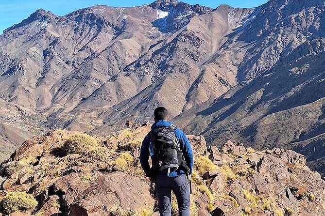 From Marrakech: Atlas Mountains Day Hike Experience - Guide style: why Mohammed and Ibrahim tend to make the day better