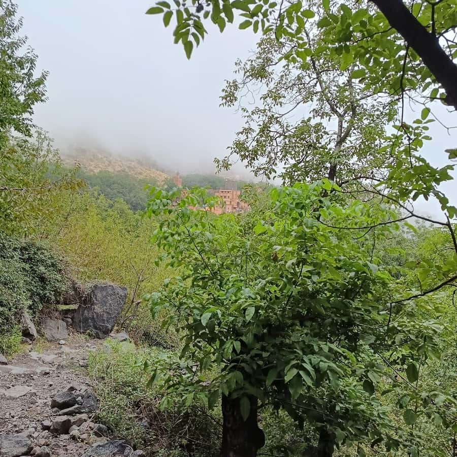 From Marrakech: Atlas Mountains Summit Trek - The guides: pacing, culture talk, and last-mile kindness