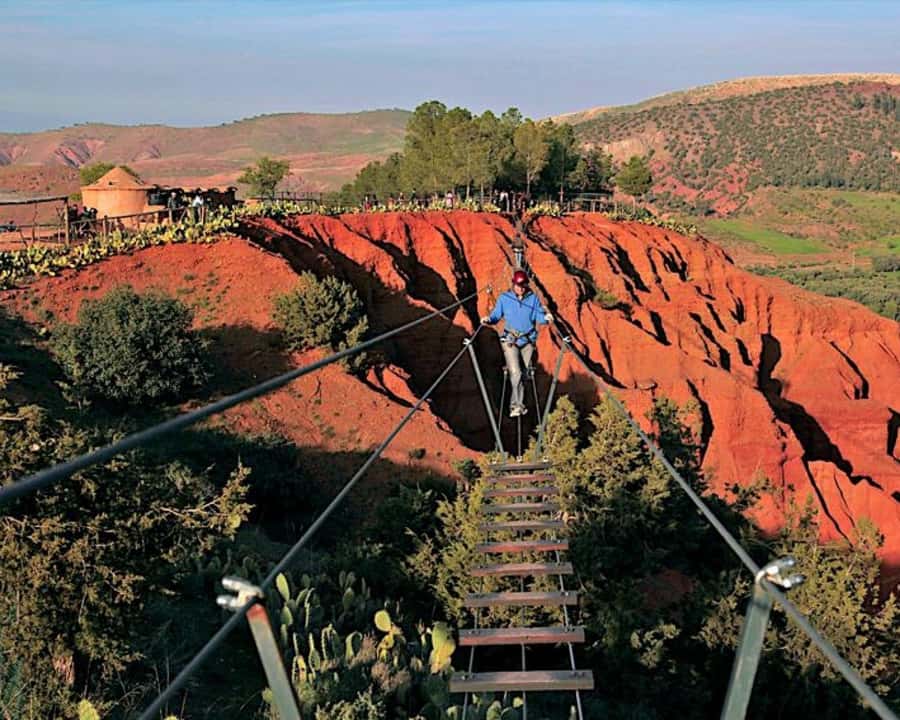 From Marrakech: Atlas Mountains Zip Line Tour Adventure - Argan oil at a cooperative: tasting is the point, not the sales pitch