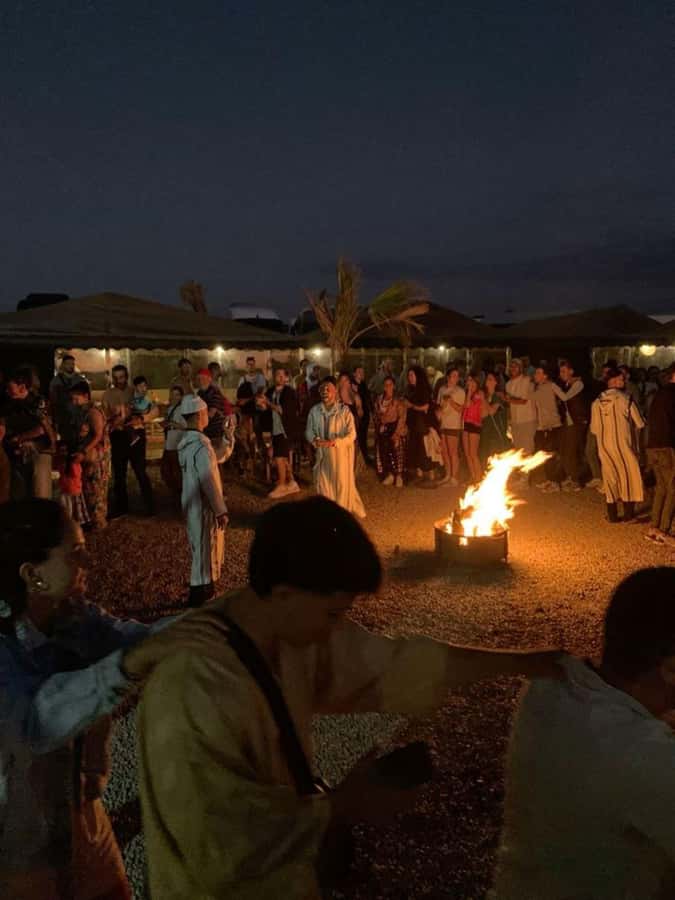 From Marrakech: Camel, Quad Bike Tour, Sunset, Dinner & Show - A Quick Stop At an Argan Oil Cooperative (And How to Treat It)