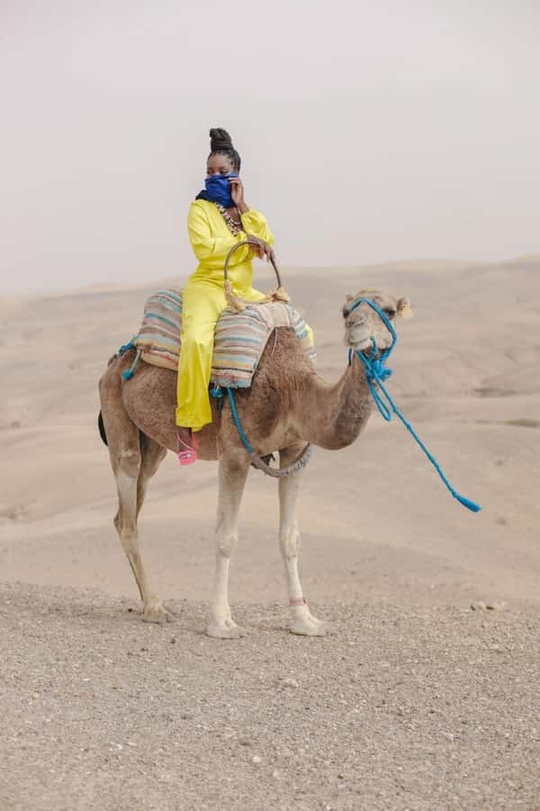 From Marrakech: Camel, Quad Bike Tour, Sunset, Dinner & Show - Quad Biking in Agafay: What 40 Minutes Feels Like