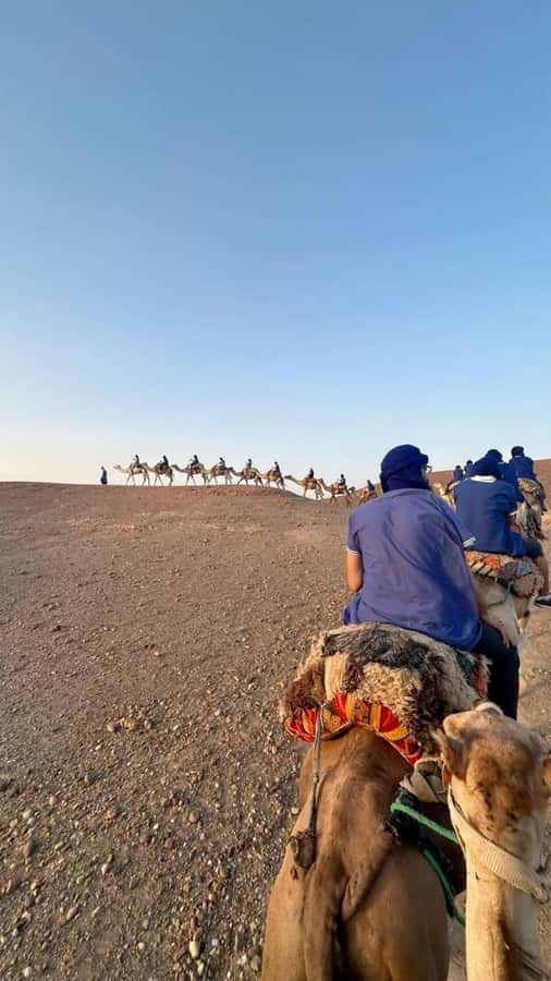From Marrakech: Camel, Quad Bike Tour, Sunset, Dinner & Show - What Makes the Guides Matter (And Who You Might Meet)