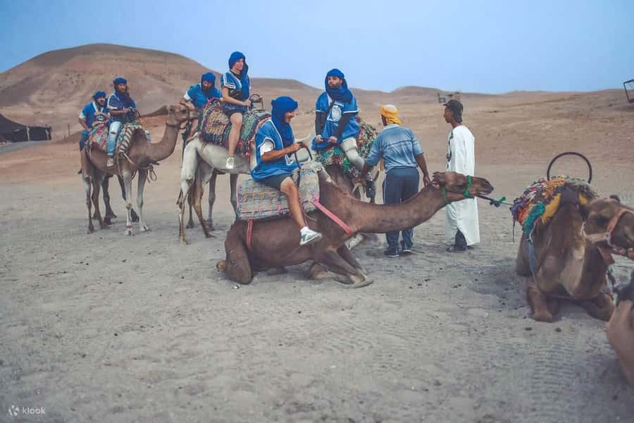 From Marrakech: Camel, Quad Bike Tour, Sunset, Dinner & Show - Price and Value: How $28 Can Be Fair (And When It Isn’t)
