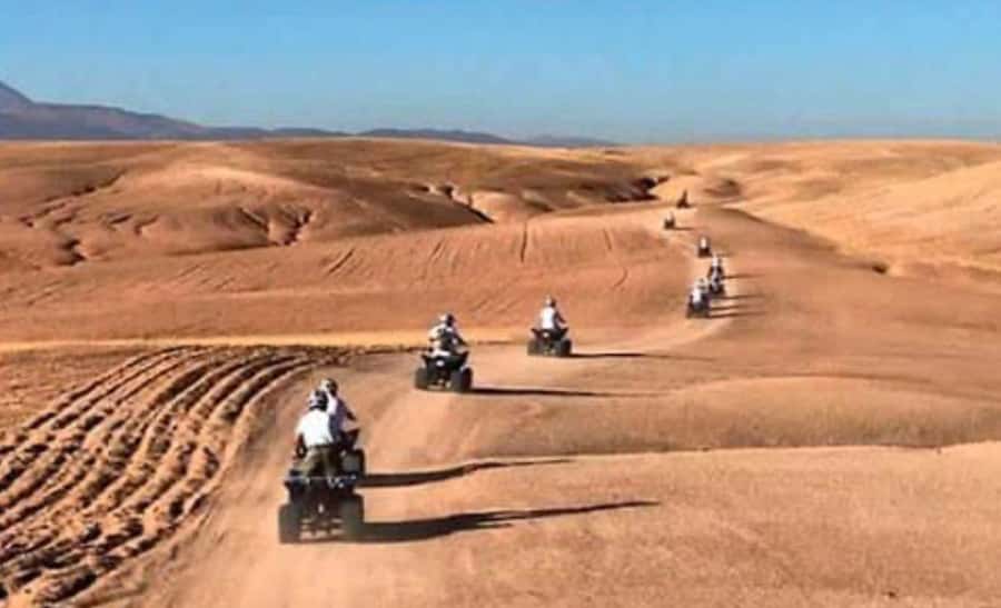 From Marrakech: Camel, Quad Bike Tour, Sunset, Dinner & Show - Who This Tour Fits Best (And Who Should Skip It)