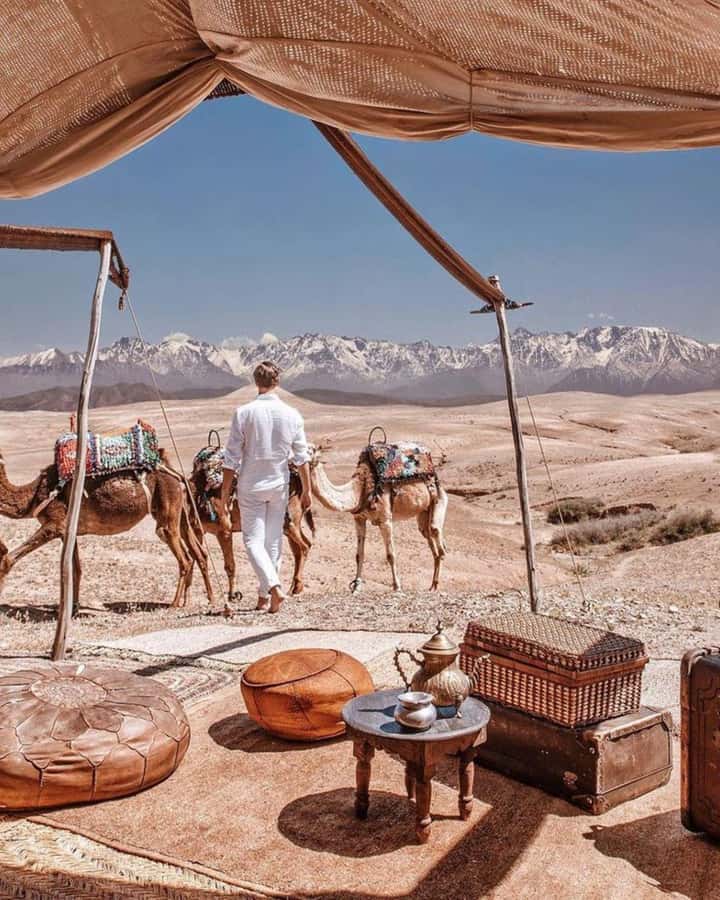 From Marrakech: Camel, Quad Bike Tour, Sunset, Dinner & Show - Sunset Camel Ride: The Most Relaxed Part of the Night