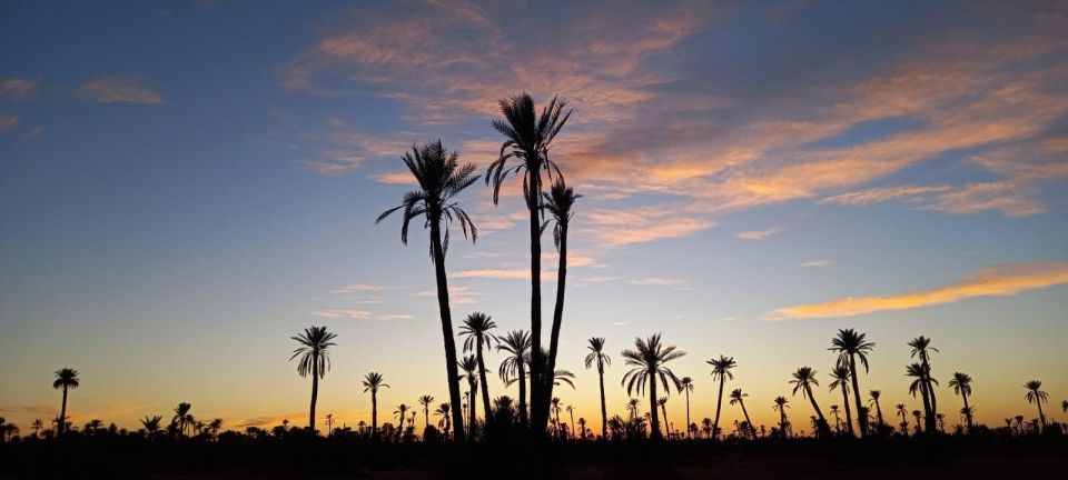 From Marrakech: Camel ride in the oasis palmeraie Grove - What to bring and how to prep