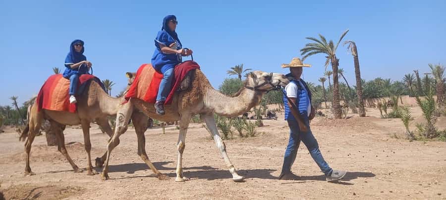 From Marrakech: Camel ride in the oasis palmeraie Grove - Palmeraie Oasis: why this camel ride feels different
