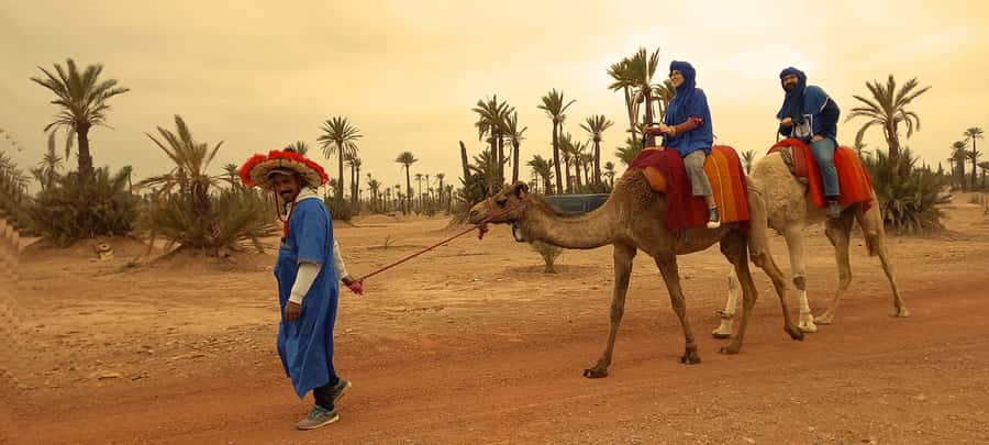 From Marrakech: Camel ride in the oasis palmeraie Grove - One hour on camelback: pace, comfort, and what you’ll actually feel