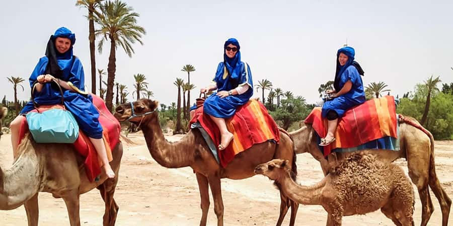 From Marrakech: Camel ride in the oasis palmeraie Grove - Timing tip: how to get sunset light without getting rushed