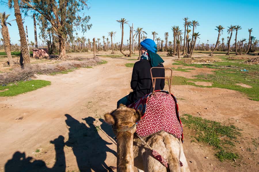 From Marrakech: Camel Ride, Quad Bike & Spa Full-Day Trip - Getting picked up in Marrakech (and why it matters)