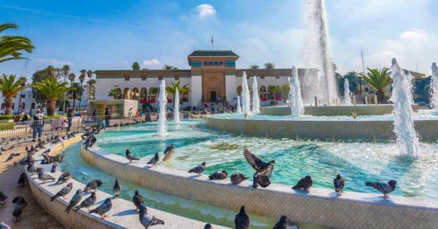 From Marrakech: Casablanca Day Trip with Transfer - Key things that make this trip work