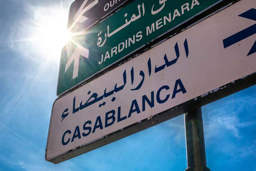 From Marrakech: Casablanca Day Trip with Transfer - Who should book this Casablanca day trip from Marrakech?