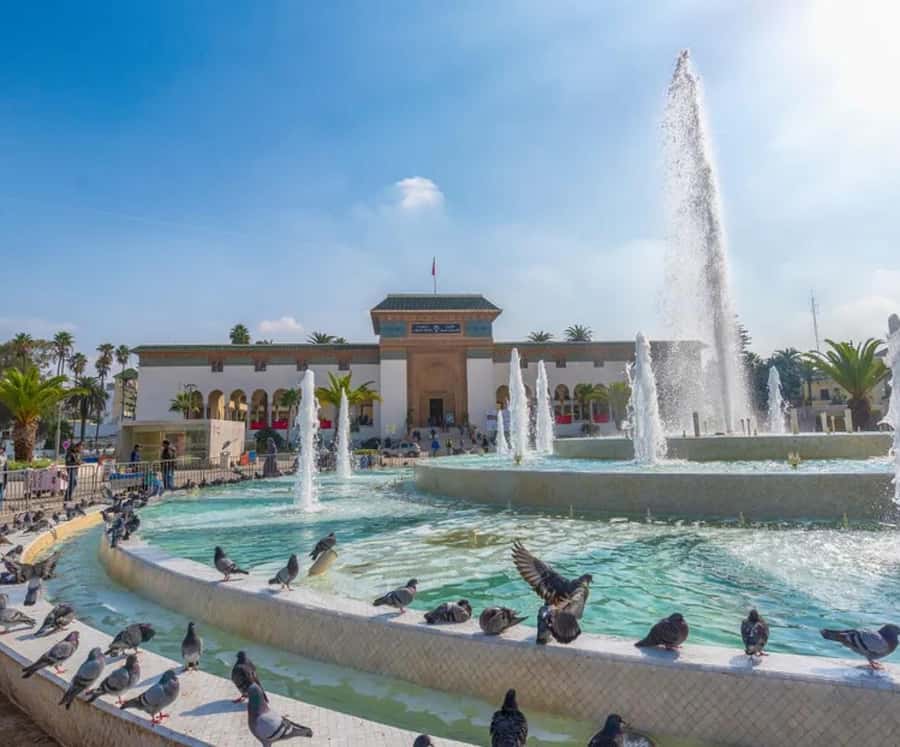 From Marrakech: Casablanca luxury Day Trip&Hassan II mosque - Casablanca in one day: a practical route with real payoff