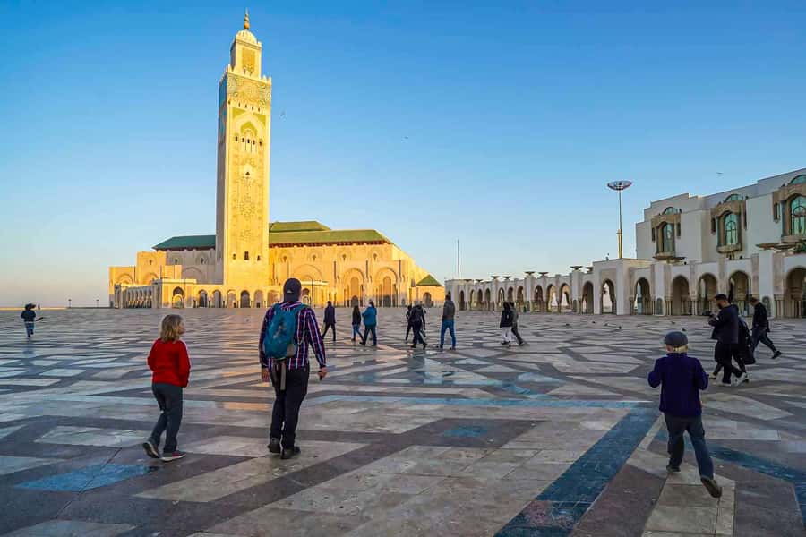 From Marrakech: Casablanca Tour & Hassan II Mosque Visit - Marrakech to Casablanca in one go: timing, comfort, and the road rhythm