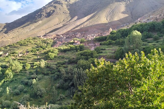 From Marrakech Day Hike to Tizi Mazaik Mountain 2400m - The Drive From Marrakech: 60 km Into the High Atlas