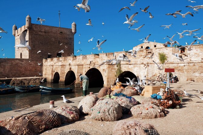 From Marrakech: Day Journey to Essaouira Mogador - High Atlas valleys: Imlil, Asni, Aroumd and the rhythm of Berber life