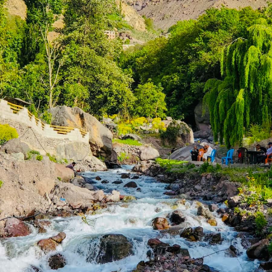 From Marrakech: Day Trip to Anima Garden and Imlil Valley - Key things that make this day trip work